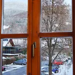 Tretlager Bad Goisern