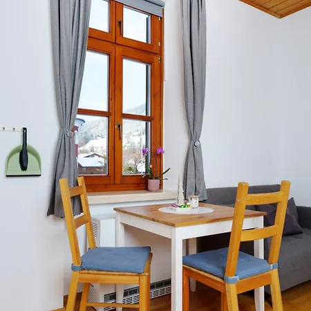 Tretlager Appartement Bad Goisern